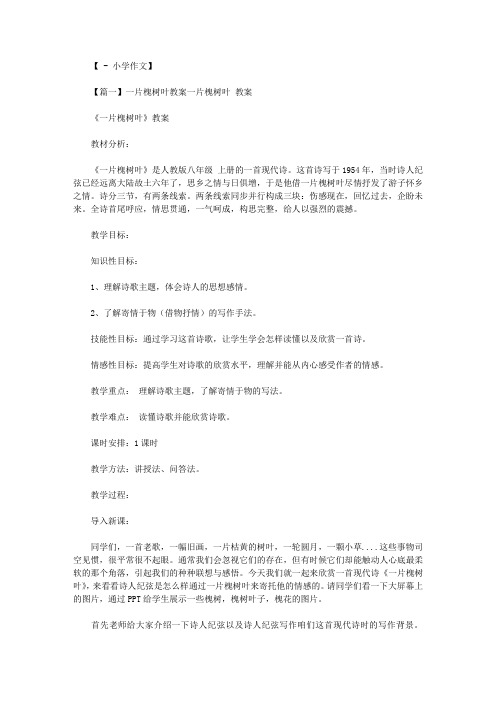 一片槐树叶教案