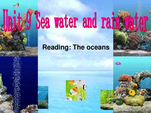 牛津上海版六下《Unit 9 Sea water and rain water》ppt课件2