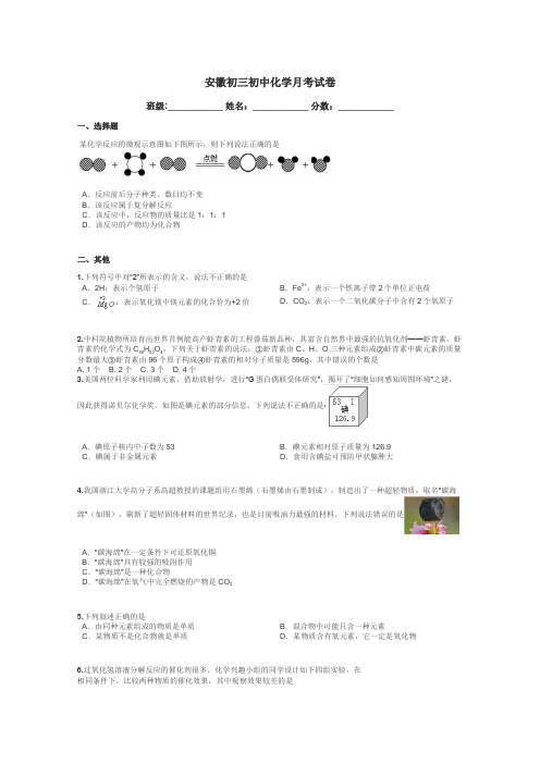 安徽初三初中化学月考试卷带答案解析
