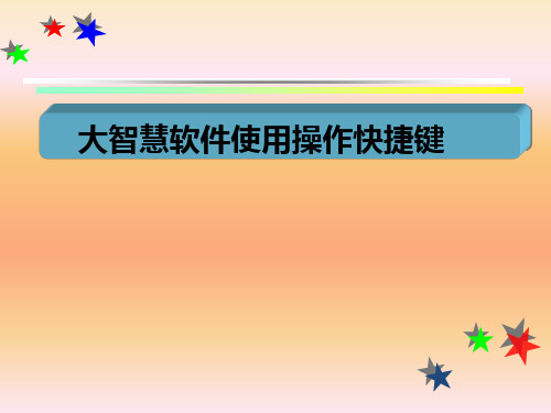 大智慧软件简易操作与常见股票术语PPT精品文档33页