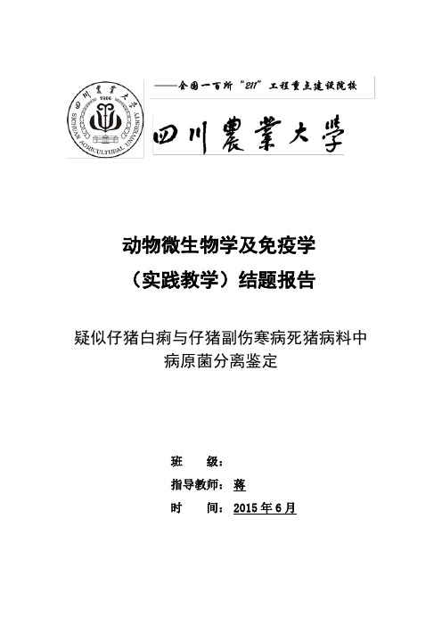 川农教学实践微生物结题报告