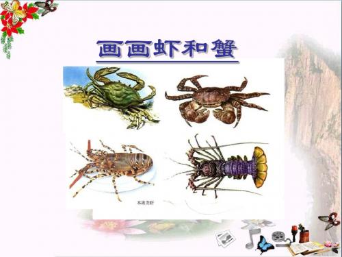 小学二年级美术上册画画虾和蟹说苏少版最新优选公开课件