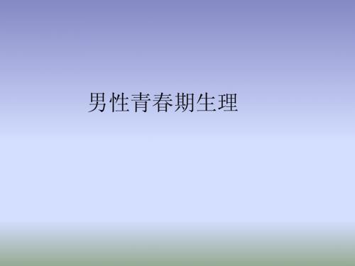 男性青春期生理2