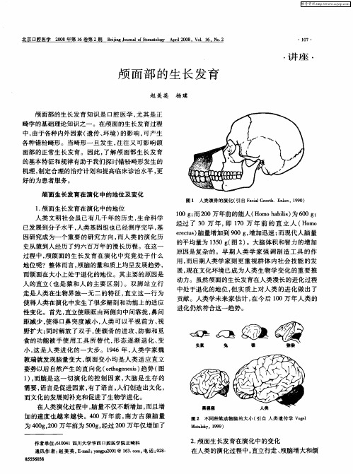 颅面部的生长发育