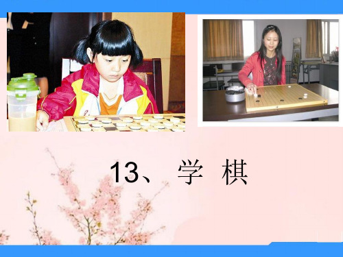 苏教版语文二年级下册《学棋》PPT课件3