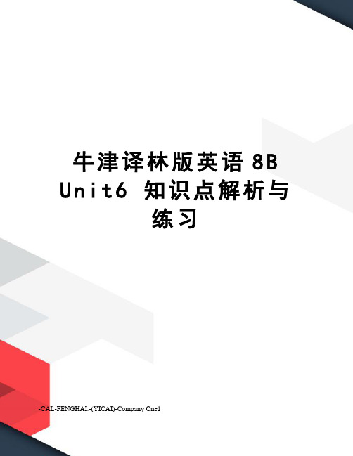 牛津译林版英语8bunit6知识点解析与练习