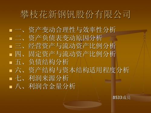 攀枝花新钢钒股份有限公司财务报表分析