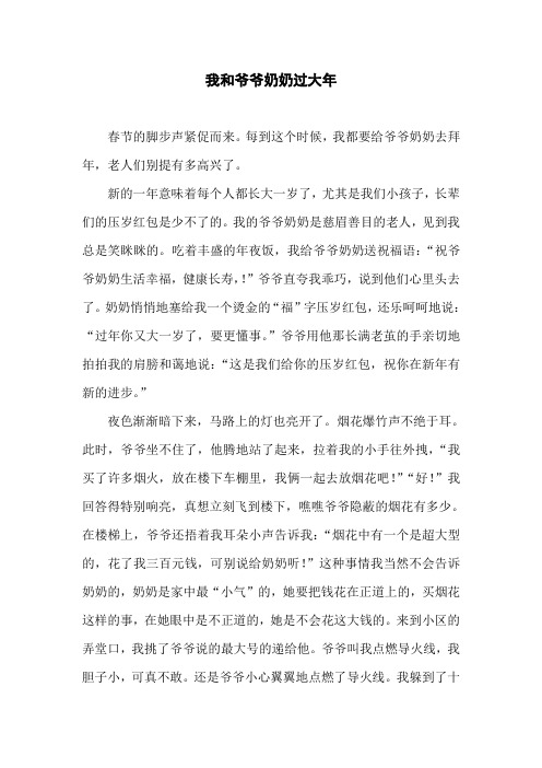 我和爷爷奶奶过大年