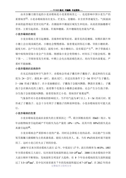 禾谷镰刀菌拮抗菌筛选探究方案