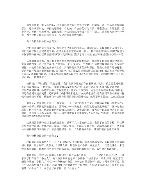 做个合格公民心得体会范文【三篇】