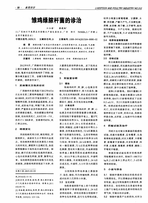 雏鸡绿脓杆菌的诊治