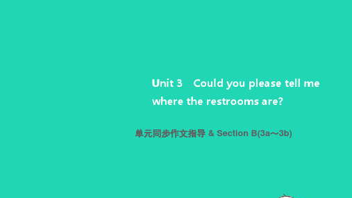 九年级英语全册Unit3单元同步作文指导SectionB3a_3b人教版