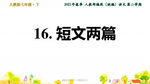 人教语文七年级下学期第4单元16. 短文两篇ppt