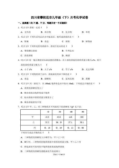 四川省攀枝花市九年级(下)月考化学试卷