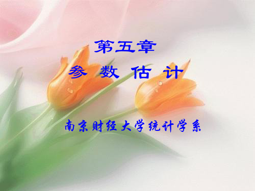 《Chap05参数估计》PPT课件