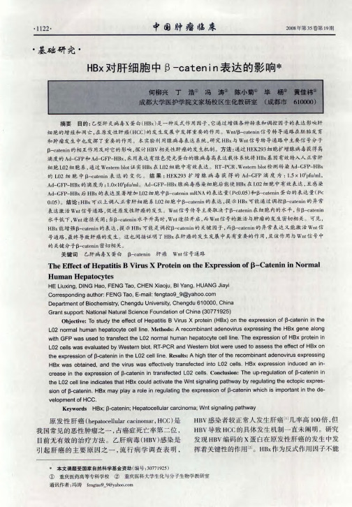 HBx对肝细胞中β-catenin表达的影响