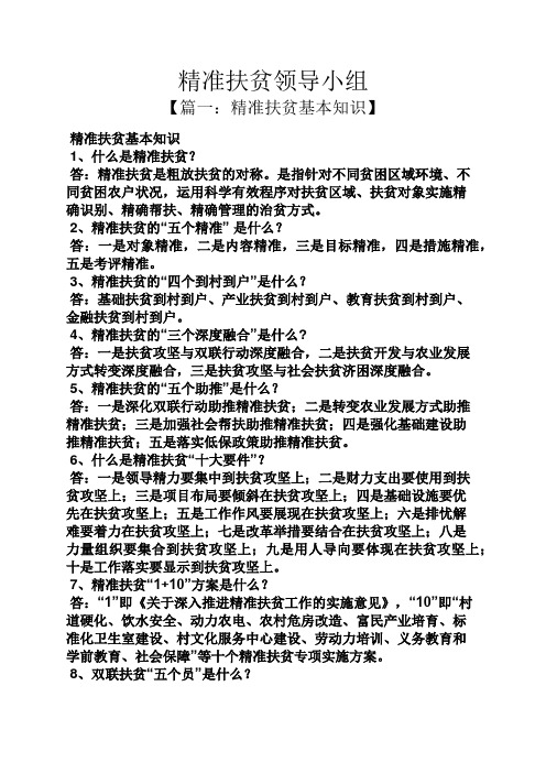 精准扶贫领导小组