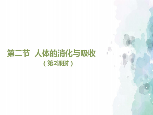 苏教版-生物-七年级下册-《人体的消化与吸收》第2课时教学课件