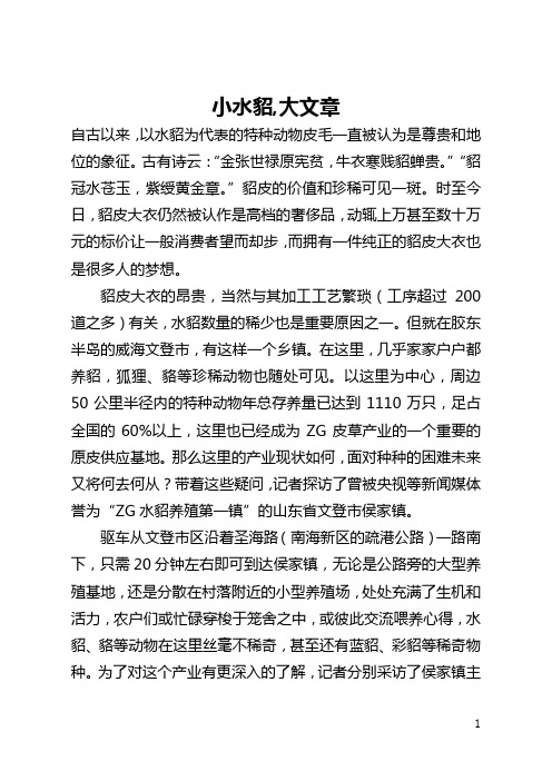 小水貂,大文章(全文)