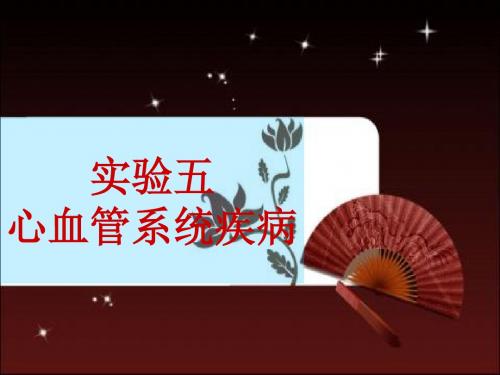 实验五心血管系统疾病