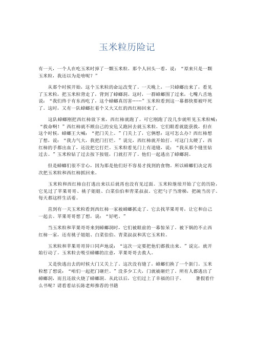 小学作文 玉米粒历险记-精品