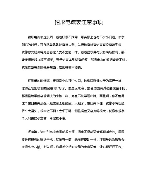 钳形电流表注意事项
