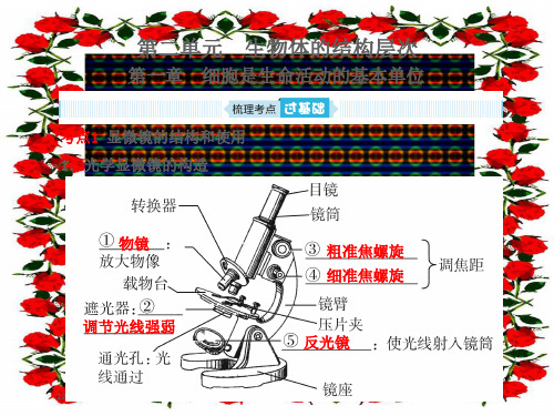 中考生物总复习 第二单元 生物体的结构层次 第一章 细胞是生命活动的基本单位