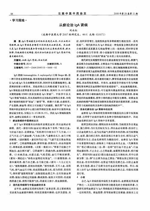 从瘀论治IgA肾病