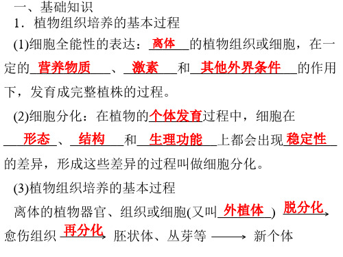 人教版高中生物选修一专题3课题1《菊花的组织培养》 课件 (共66张PPT)