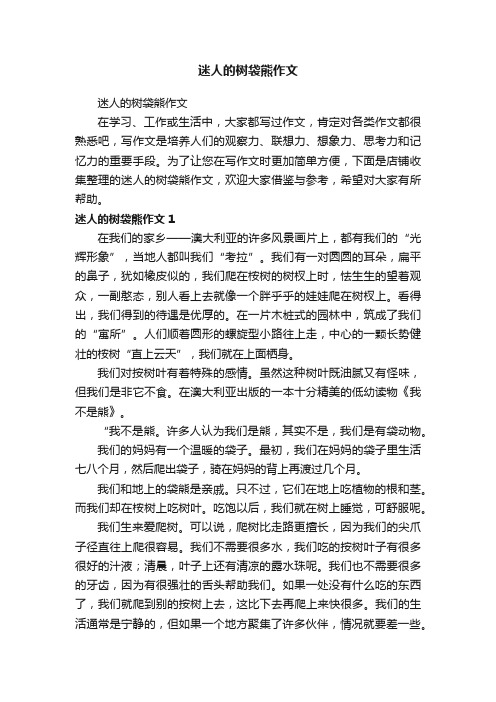 迷人的树袋熊作文