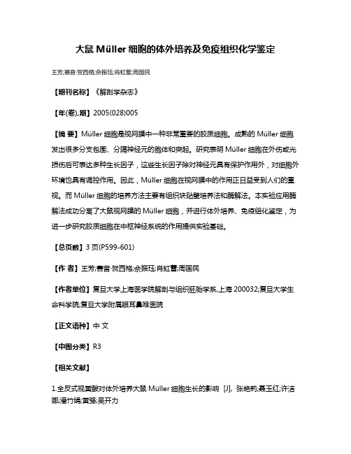 大鼠Müller细胞的体外培养及免疫组织化学鉴定