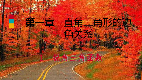 九年级数学下册 第一章 直角三角形的边角关系 1 锐角三角函数 1.1.1 正切