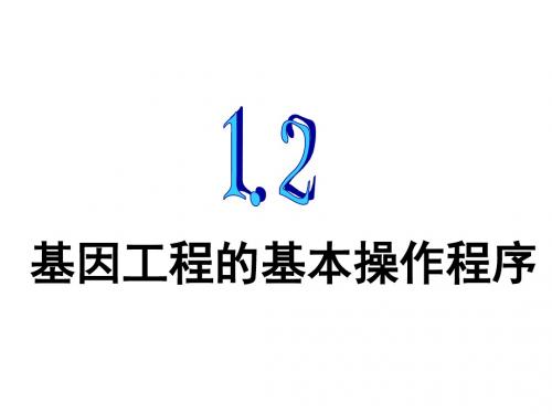 《基因工程的基本操作程序》课件(新人教选修)