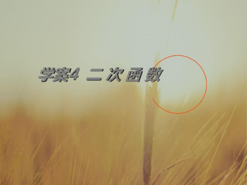 最新-2018年高考数学一轮复习 第2章函数与导数二次函数课件 精品 