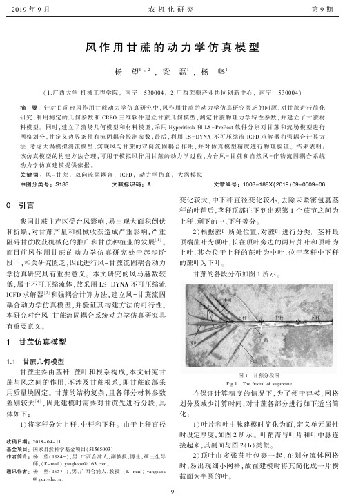 风作用甘蔗的动力学仿真模型