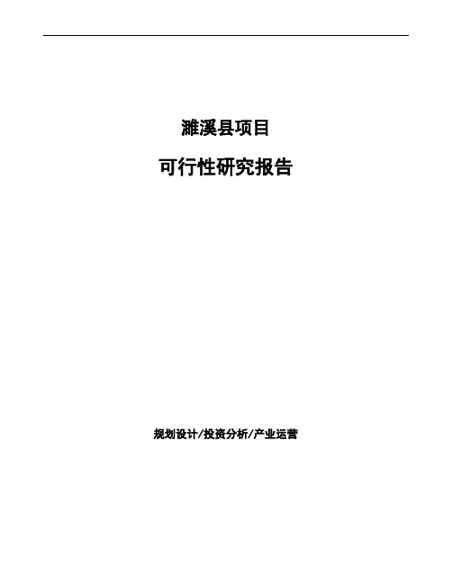 濉溪县项目可行性研究报告参考模板