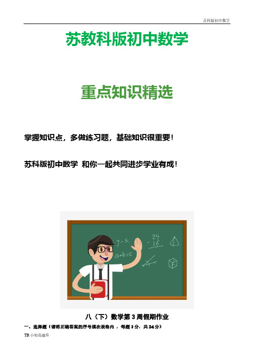 苏教科版初中数学八年级下册学期第三周假期作业