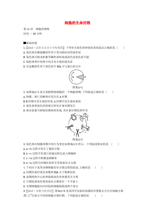2020届高考生物第4单元细胞的生命历程(第11_13讲)课时作业(含解析)