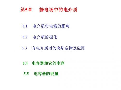 第五章 静电场中的电解质