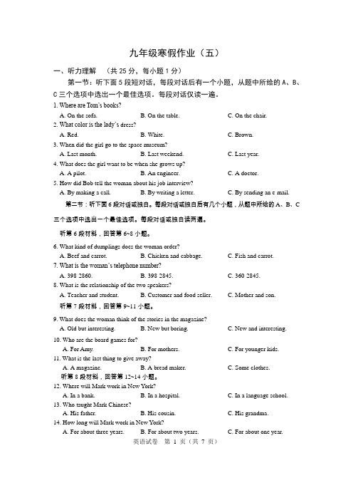 九年级寒假作业五