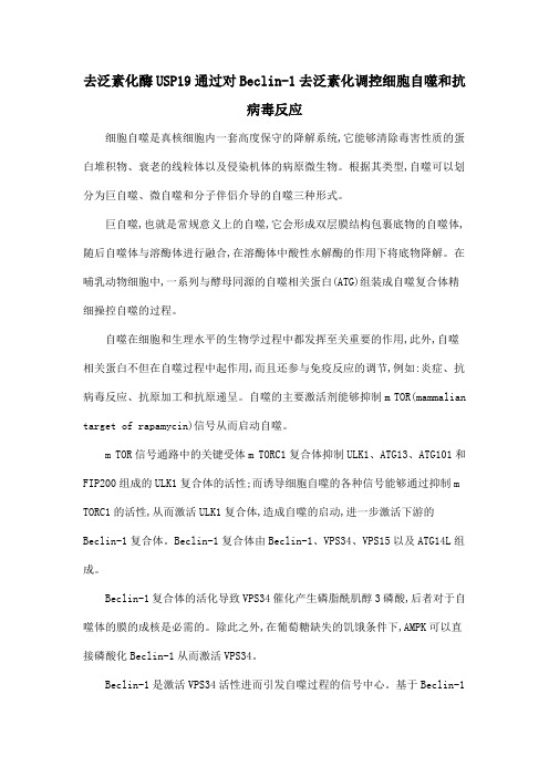 去泛素化酶USP19通过对Beclin-1去泛素化调控细胞自噬和抗病毒反应