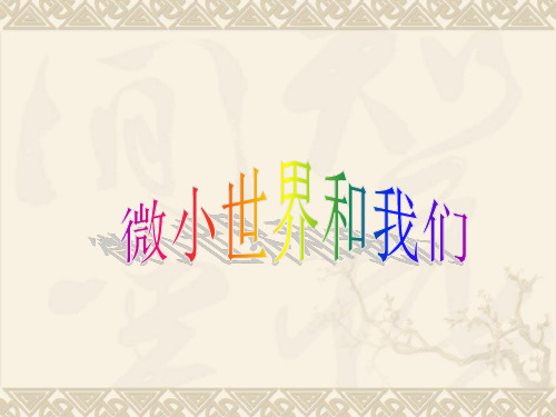 六年级下册科学微小世界和我们教科版