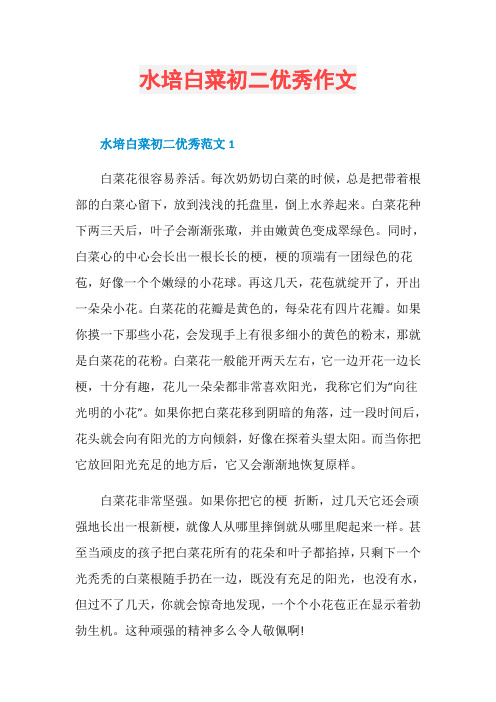 水培白菜初二优秀作文