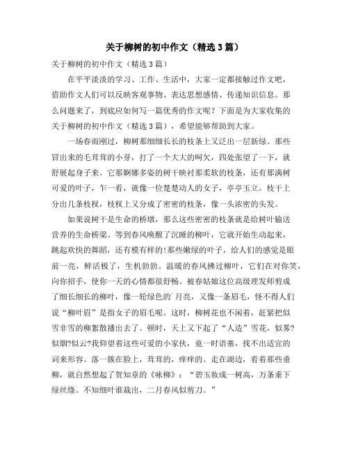 关于柳树的初中作文(精选3篇)