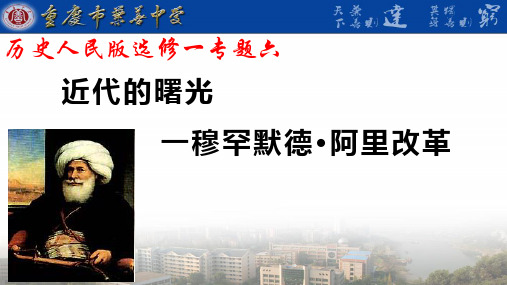 人民版高中历史选修一专题六《穆罕默德阿里改革》优质课件