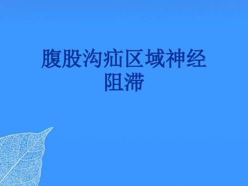 【正式版】腹股沟疝区域神经阻滞PPT文档