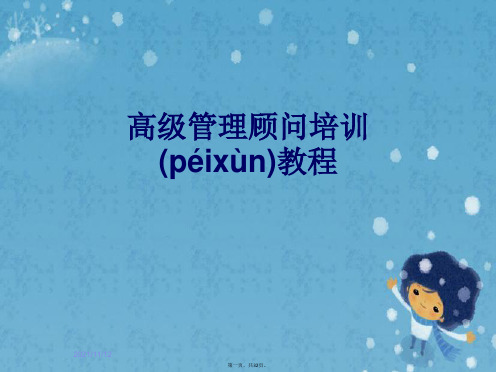高级管理顾问培训教程