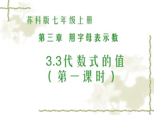3.3代数式的值(2)