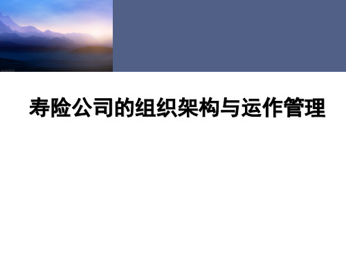 寿险公司的组织架构与运作管理教材