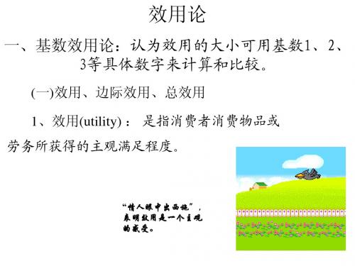 消费者行为理论-效用